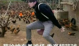 最新爆料坤坤表情包图片,萌态十足引网友热议