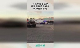 狂飙警察爆料视频播放全集,揭秘警界风云，全集内容深度解析