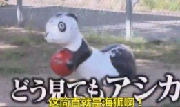 熊猫外卖日本爆料视频,真实操作过程曝光！