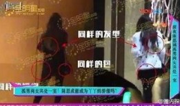 华人爆料陈思诚视频播放,华人爆料引发网络热议