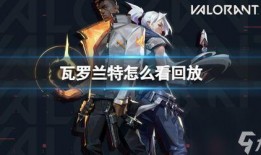 外服亚军兰特爆料视频在线观看,揭秘游戏幕后精彩瞬间