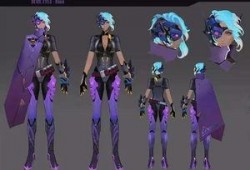 蔷薇刺客爆料视频,揭秘视频背后的惊人真相