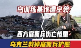雇佣兵死亡爆料视频播放