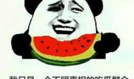 网红吃瓜群众组,揭秘网络红人的幕后故事