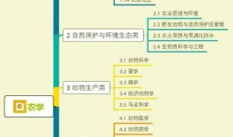 活宝外甥爆料视频大全集,笑料百出，欢乐无限