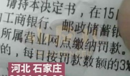 石家庄逆行爆料案件最新,真相大白，交通违规者终受惩处
