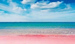 粉色沙滩爆料怎么做视频,揭秘视频制作攻略