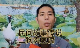 民间故事爆料视频完整版,视频完整版深度解析