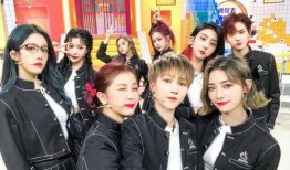 the9圈内爆料,独家幕后故事大公开