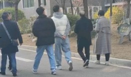 揭秘网红吃瓜事件,背后真相与网络舆论的漩涡