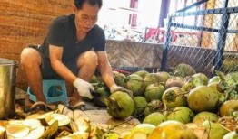 三亚网红吃瓜事件,一场网络舆论的发酵与反思