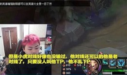 小虎爆料斩虎视频播放,斩虎视频幕后真相曝光