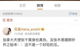 加拿大博主爆料视频大全,视频大全背后的惊人真相