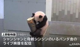 熊猫外卖日本爆料视频,真实操作过程曝光！