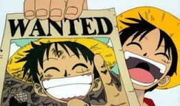 路飞爆料身世视频大全在线观看,全方位视频大全在线观看