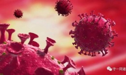 新冠病毒最新疫情爆料