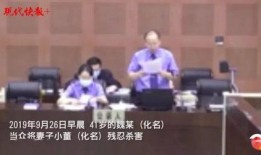 四川爆料者道歉视频完整版,回顾事件始末，反思言论责任