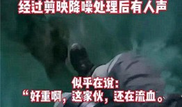 开平金山爆料事件视频播放,视频揭露惊人真相