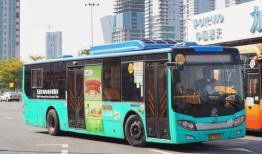 深圳公交大巴最新爆料,路线调整与票价变动一览