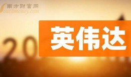 伯恩最新爆料新闻报道,揭秘事件背后惊人真相
