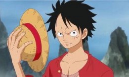 路飞爆料身世视频大全在线观看,全方位视频大全在线观看