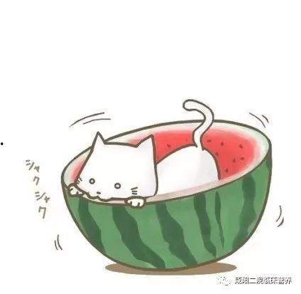 娱乐吃瓜头像男生动漫版